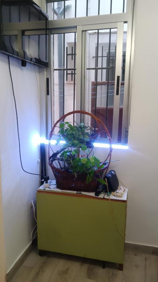 Apartamento Alicia Madrid Exterior photo